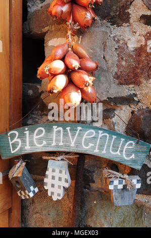 Échalote française pour la vente à La Ferme des beaux bois, un producteur local de la ville de Cherrueix, Bretagne, France Banque D'Images