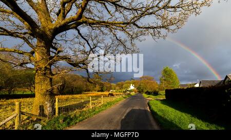 Pontrhydfendigaid, Ceredigion, pays de Galles, Royaume-Uni 28 avril 2018 Royaume-Uni : Météo, après une belle journée calme un bel arc-en-ciel apparaît sur Pontrhydfendigaid pendant une courte période de pluie ce soir. © Ian Jones/Alamy Live News. Banque D'Images