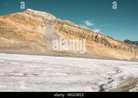 Glacier Athabasca dans le champ de glace Columbia, Alberta Canada Banque D'Images