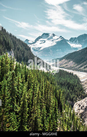 Glacier Athabasca dans le champ de glace Columbia, Alberta Canada Banque D'Images