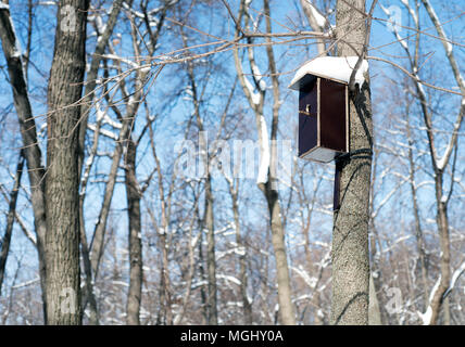 Handmade ornate wooden birdhouse relié à un gros arbre dans une forêt en hiver avec toit couvert de neige offrant un accueil pour birdlife Banque D'Images