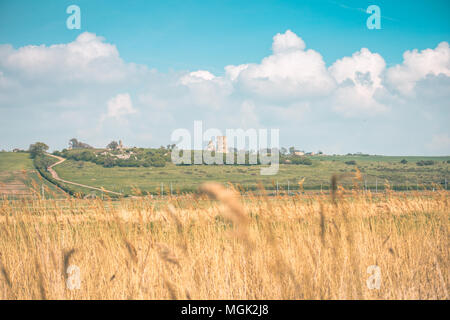 Beau paysage d'été avec Hadleigh Castle (UK) à l'arrière-plan Banque D'Images