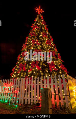 Arbre de Noël nuit à The Woodlands, Texas. Banque D'Images