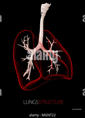 Structure de la poumons, soins de noir isolé. 3d illustration. Banque D'Images