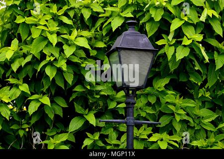 Meubles anciens ou vintage lampe de rue avec un fond de feuilles dans un parc à Singapour Banque D'Images