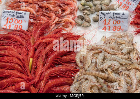 Différents types de crevettes et les moules à la vente à un marché à Madrid, Espagne Banque D'Images