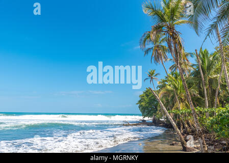 Playa Negra - plage noire à Cahuita, Costa Rica - Limon - paradis tropicaux et plages Banque D'Images