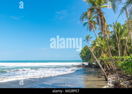 Playa Negra - plage noire à Cahuita, Costa Rica - Limon - paradis tropicaux et plages à côte des Caraïbes Banque D'Images