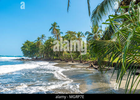 Playa Negra - plage noire à Cahuita, Costa Rica - Limon - paradis tropicaux et plages à côte des Caraïbes Banque D'Images