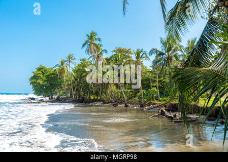 Playa Negra - plage noire à Cahuita, Costa Rica - Limon - paradis tropicaux et plages à côte des Caraïbes Banque D'Images