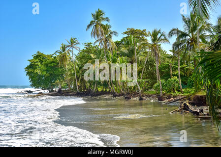 Playa Negra - plage noire à Cahuita, Costa Rica - Limon - paradis tropicaux et plages à côte des Caraïbes Banque D'Images