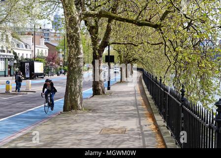 Jeune femme en bleu cycliste voie cyclable sur Pimlico Grosvenor Road London England UK Banque D'Images