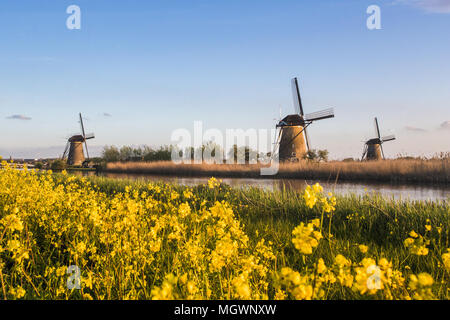 Coucher du soleil, le moulin compte dans le Kinderlijk Molenwaard canal South Holland aux Pays-Bas l'Europe Banque D'Images