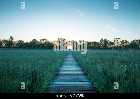 Parc national de Biebrza en Pologne Banque D'Images