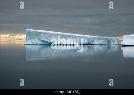 Le sud de l'Antarctique de l'océan, coucher de soleil sur champ d'icebergs avec des réflexions Banque D'Images
