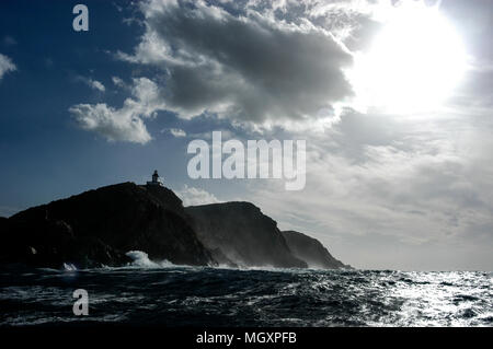 Le phare de la Revellata est un monument situé sur la commune de Calvi en Corsicaa, une île française au large de la côte sud de la France dans la Méditerranée. L Banque D'Images