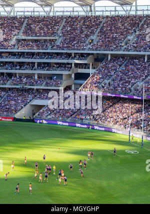 Les équipes de l'AFL Fremantle Dockers et West Coast Eagles jouer leur Football australien, premier derby au stade d'Optus, Perth, WA, Australie. Banque D'Images