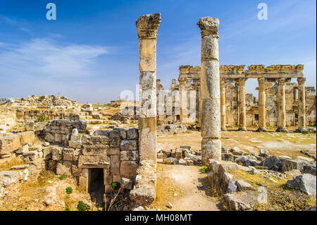 Ruines des colonnes d'Apamée, une ville de trésor et le goujon-depot du rois Séleucides, et était la capitale de l'Apamene. Banque D'Images