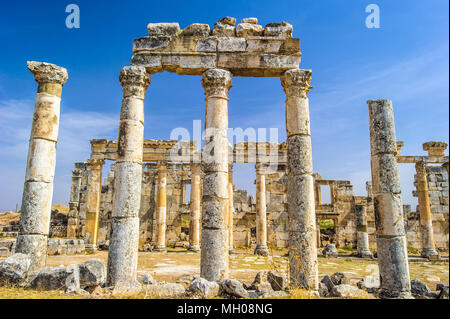 Ruines des colonnes d'Apamée, une ville de trésor et le goujon-depot du rois Séleucides, et était la capitale de l'Apamene. Banque D'Images