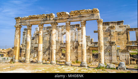 Ruines des colonnes d'Apamée, une ville de trésor et le goujon-depot du rois Séleucides, et était la capitale de l'Apamene. Banque D'Images