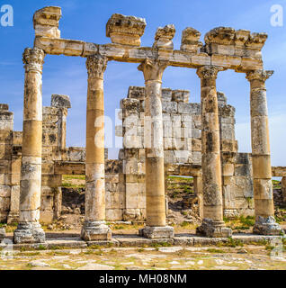 Ruines des colonnes d'Apamée, une ville de trésor et le goujon-depot du rois Séleucides, et était la capitale de l'Apamene. La Syrie. Banque D'Images