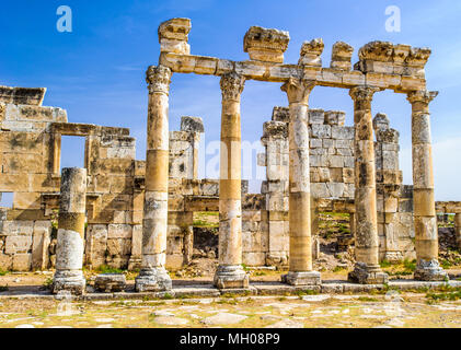 Ruines des colonnes d'Apamée, une ville de trésor et le goujon-depot du rois Séleucides, et était la capitale de l'Apamene. La Syrie. Banque D'Images