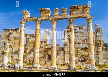 Ruines des colonnes d'Apamée, une ville de trésor et le goujon-depot du rois Séleucides, et était la capitale de l'Apamene. La Syrie. Banque D'Images