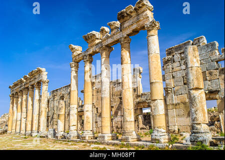 Ruines des colonnes d'Apamée, une ville de trésor et le goujon-depot du rois Séleucides, et était la capitale de l'Apamene. La Syrie. Banque D'Images