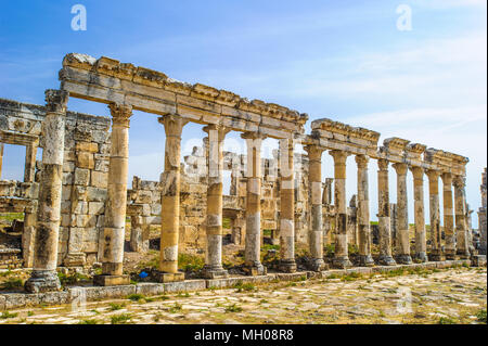 Ruines des colonnes d'Apamée, une ville de trésor et le goujon-depot du rois Séleucides, et était la capitale de l'Apamene. La Syrie. Banque D'Images