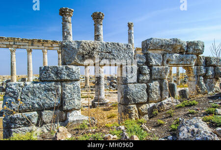 Décoré avec des colonnes la spirale distinctif-flutes. Apamée, Syrie Banque D'Images