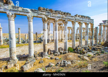 Décoré avec des colonnes la spirale distinctif-flutes. Apamée, Syrie Banque D'Images