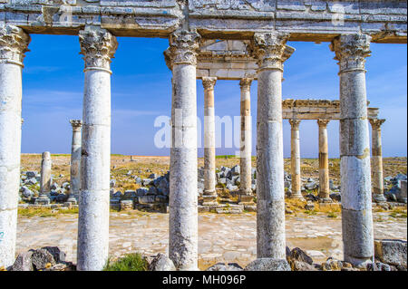 Décoré avec des colonnes la spirale distinctif-flutes. Apamée, Syrie Banque D'Images