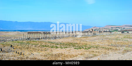 Grande Colonnade à Apamée, la principale avenue à colonnade de la ville antique d'Apamée dans la rivière Orontes Valley dans le nord-ouest de la Syrie. Banque D'Images