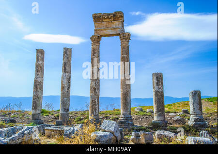 Les colonnes d'Apamée, Syrie Banque D'Images