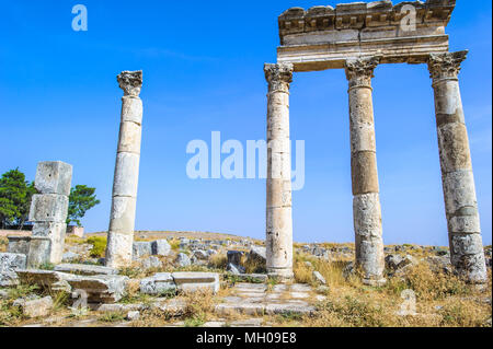 Les colonnes d'Apamée, Syrie Banque D'Images