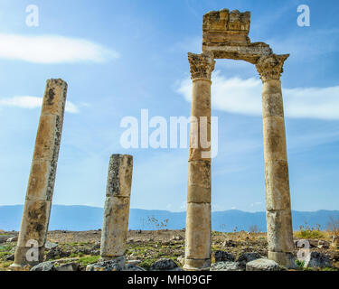 Les colonnes d'Apamée, Syrie Banque D'Images