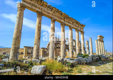 Grande Colonnade à Apamée, la principale avenue à colonnade de la ville antique d'Apamée dans la rivière Orontes Valley dans le nord-ouest de la Syrie. Banque D'Images