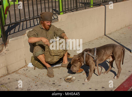 Un sans-abri et sans-abri mendier son chien,mendiant dans la rue, sans-abri mendiant mendier dans la rue, Hollywood Boulevard,usa Banque D'Images