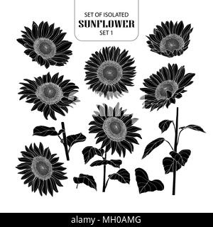 Ensemble de jeu de tournesol isolés d'ossature 1. Cute hand drawn vector illustration à contour blanc et noir plane sur fond blanc. Illustration de Vecteur