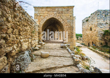 La forteresse de Shaizar, une ville du nord de la Syrie, administrativement partie du gouvernorat de Hama, situé au nord-ouest de Hama. Banque D'Images