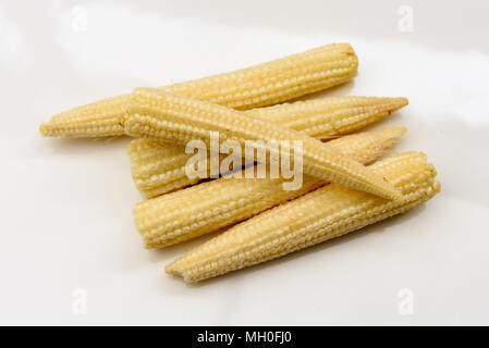 Baby Sweetcorn sur fond blanc Banque D'Images