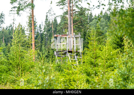 Tour de chasse en bois dans une forêt à l'été entouré par des arbres de pin Banque D'Images