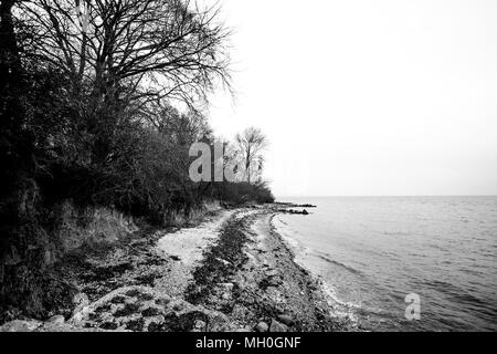 Photo en noir et blanc d'une côte à l'automne avec des vagues arrivant sur la plage Banque D'Images