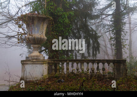 Vase et balustrade du bâtiment abandonné de l'ancien restaurant sur le sommet du mont Akhun dans un épais brouillard, Sochi, Russie Banque D'Images