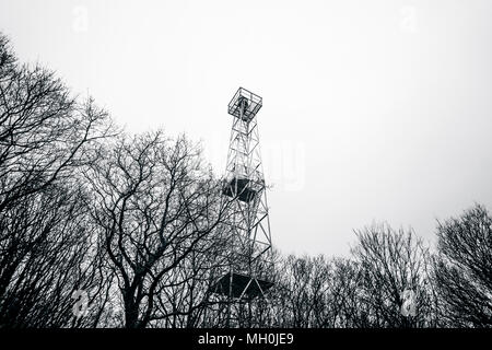 Leuchtturm en monochrome couleurs dans une forêt en hiver avec des silhouettes en noir et blanc Banque D'Images