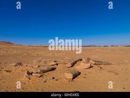 Al-rajajil menhirs le stonehenge de l'Arabie saoudite, Province Al-Jawf, Sakaka, l'Arabie Saoudite Banque D'Images