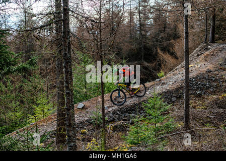 Un homme monte un vtt sur un sentier près de la ville de Innerleithen, Tweeddale, dans la région des Scottish Borders Banque D'Images