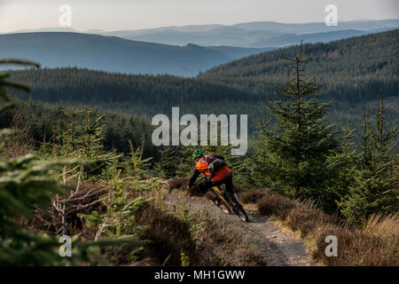 Un homme monte un vtt sur un sentier près de la ville de Innerleithen, Tweeddale, dans la région des Scottish Borders Banque D'Images