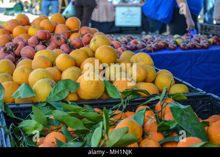 Le marché fermier de week-end à San Diego en Californie, où vous pourrez déguster des oranges, citrons, et un choix de fournisseurs et Banque D'Images