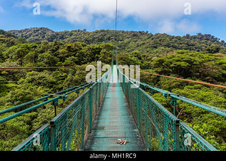 Des ponts suspendus dans la Cloudforest - Monteverde, Costa Rica Banque D'Images